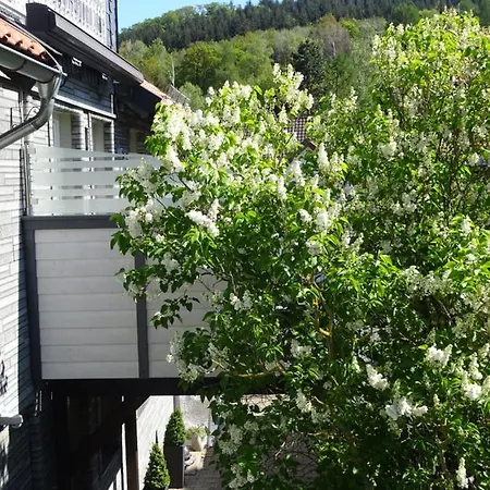 Hage Apartamento *